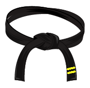 Ceinture noire 2e dan